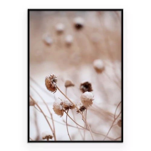Poster Delicate wilde bloemen in een winterlandschap