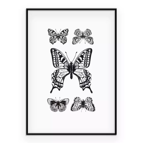Poster Een compositie met vijf vlinders in zwart-wit