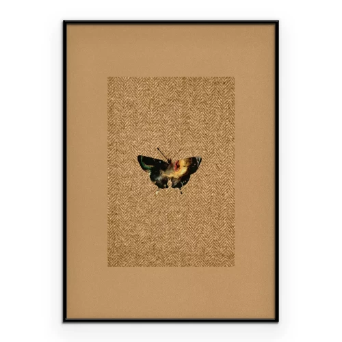 Poster Donkere vlinder op een gestructureerde achtergrond