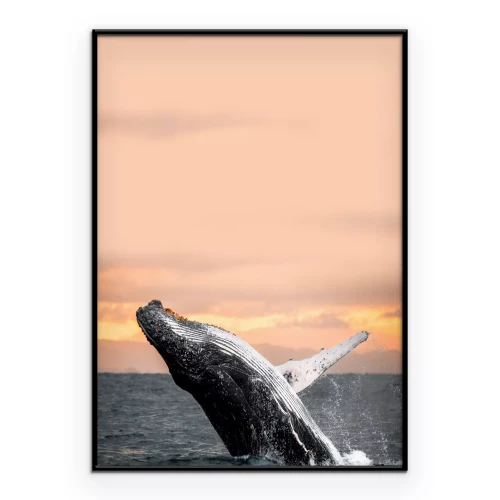 Poster Een dynamische foto van een walvis boven het oceaanoppervlak