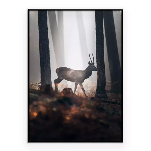 Poster Hirsch im nebligen Wald bei Morgendämmerung Landschaft