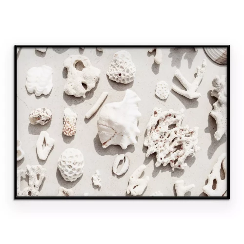 Poster Muscheln und Korallen am Sandstrand