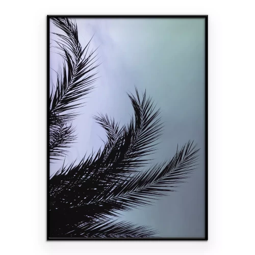 Poster Schwarze Palmblätter vor dem Himmel