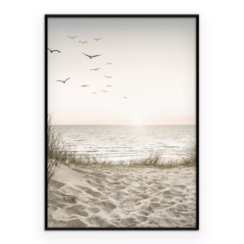 Poster Mohnfeld bei Sonnenaufgang Sommerlandschaft