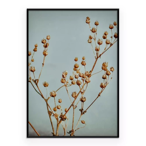 Poster Trockene Pflanzenzweige auf blauem Hintergrund