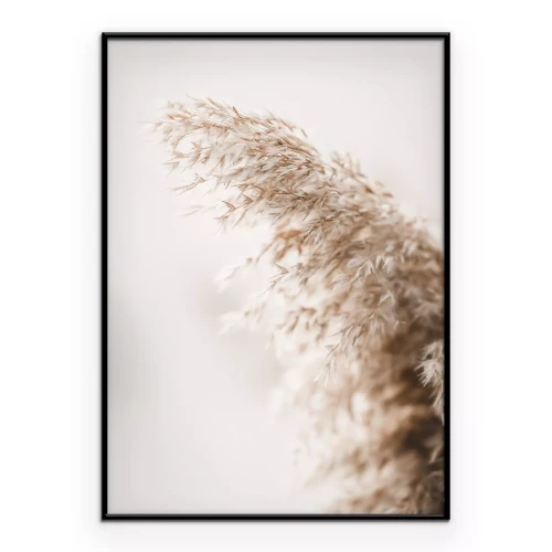 Poster Gras im Boho-Stil