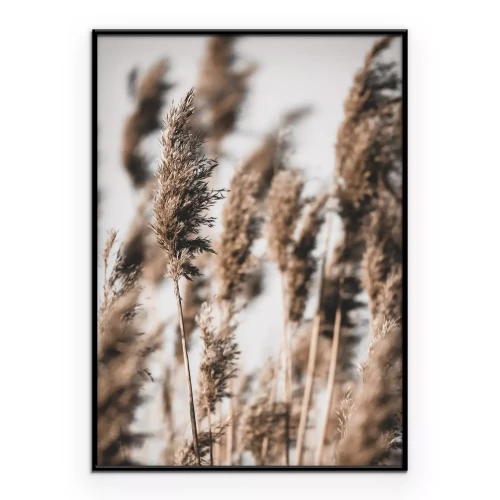 Poster Zarte Gräser im Wind Boho-Stil Motiv