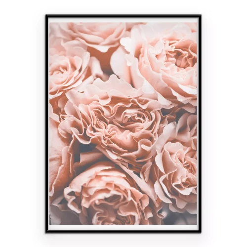 Poster Rosa Rosen Blumen im Vintage-Stil