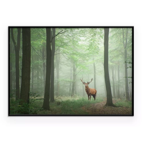 Poster Majestätischer Hirsch in einem grünen Wald Landschaft