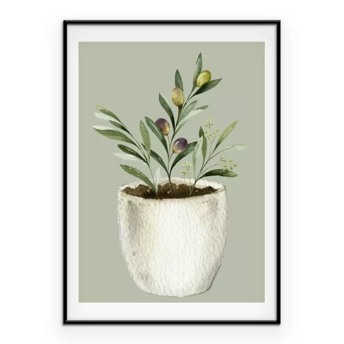 Poster Olivenbaum im Topf Illustration