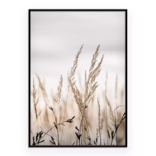 Poster Trockenes Gras auf einer Wiesenlandschaft