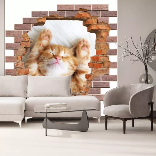 Sticker 3D-gat in de bakstenen muur en een slapend katje