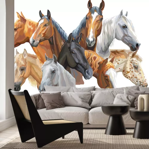 Sticker Kleurrijke portretten van verschillende paardenrassen