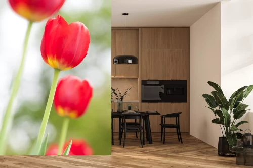 Visualisatie van het product