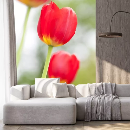 Sticker Enkele bloemen op een onscherpe achtergrond