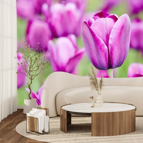 Sticker Lila bloemen op een groene achtergrond