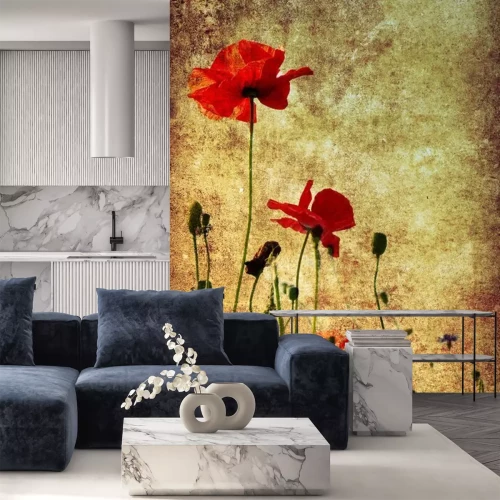 Fotobehang Klaprozen op een verouderde achtergrond