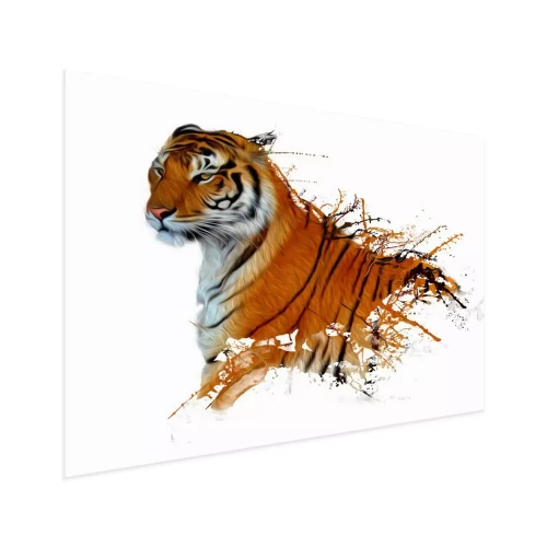 Visualisatie van het product