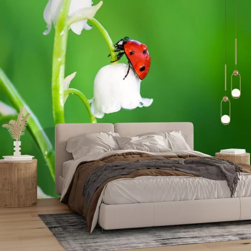 Sticker Lieveheersbeestje op een wit lelietje-van-dalen