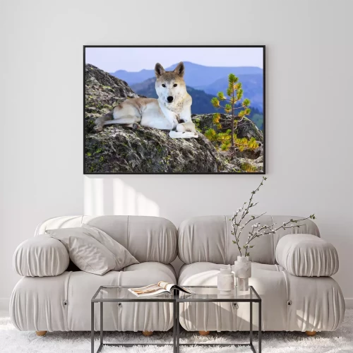 Visualisatie van het product