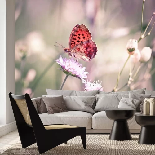 Fotobehang Oranje vlinder op een witte bloem