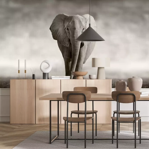 Fotobehang Olifant op een wazige achtergrond