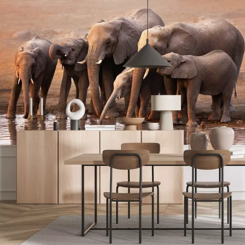 Fotobehang Een kudde olifanten bij het water