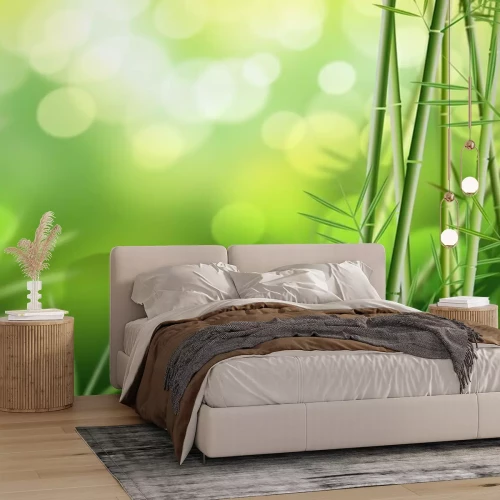 Fotobehang 3D bamboe met bladeren