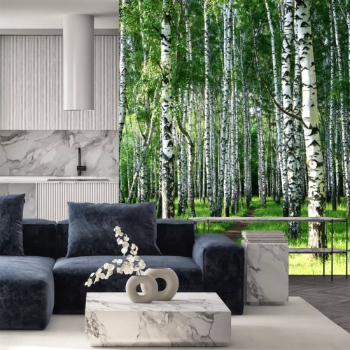 Fotobehang Berken in de zonnige middag