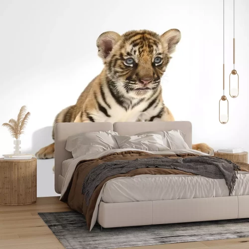 Sticker Tijgerwelp op witte achtergrond