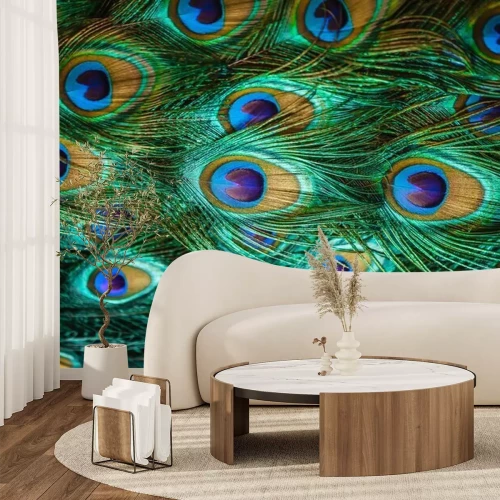 Fotobehang Kleurrijke pauwenveren