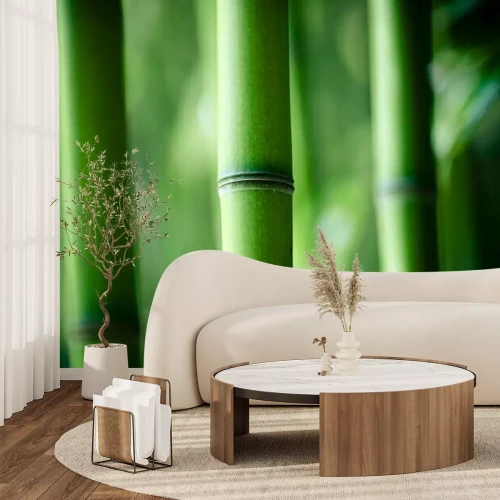 Fotobehang Close-up van een bamboestammetje