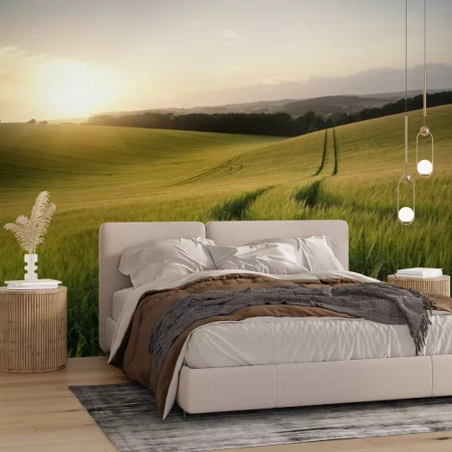 Fotobehang Graanvelden tegen de achtergrond van een wolkenloze hemel