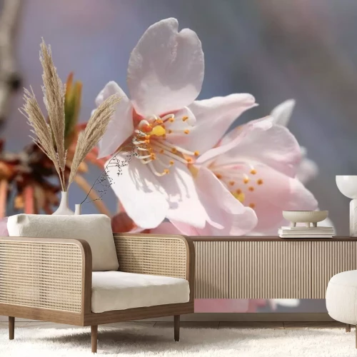 Sticker Kersenbloesem close-up