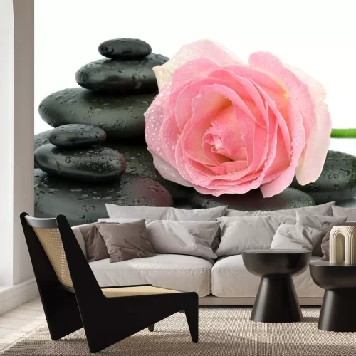 Sticker Róża na kamieniach spa doen