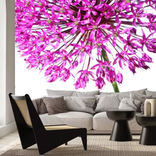 Sticker Violette bloem in een zoomlens