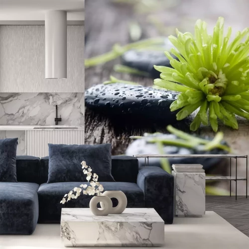 Sticker Stenen met water druppels