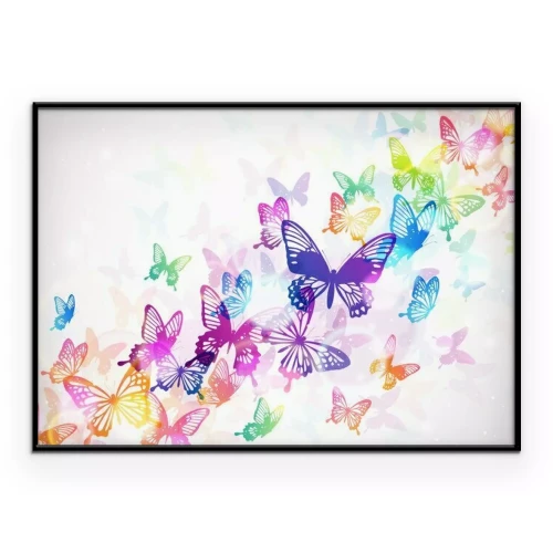 Poster Kleurrijke vlinders op een witte achtergrond