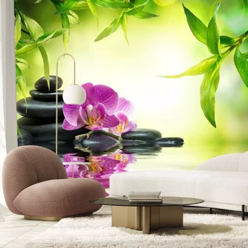 Fotobehang Orchidee stenen en groene planten