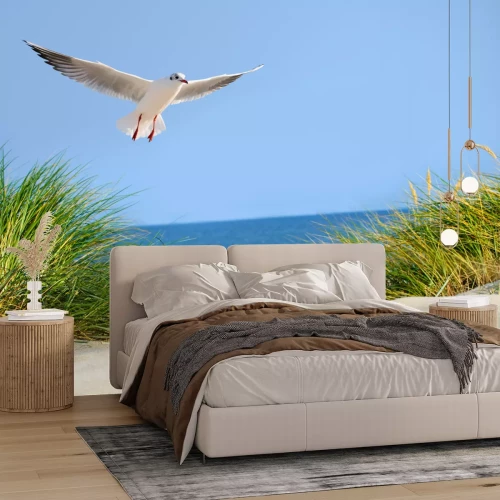 Fotobehang Duinen, meeuw en de zee