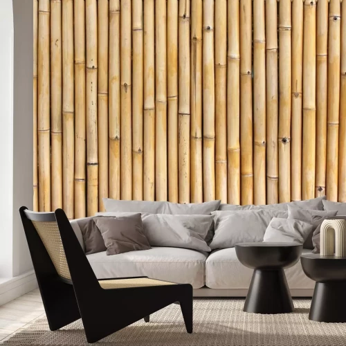 Fotobehang Gedroogde scheuten van bamboe