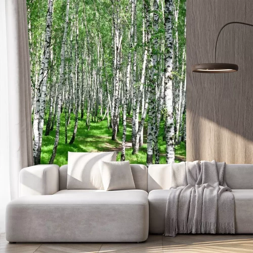 Fotobehang Wandeling door een berkenbos