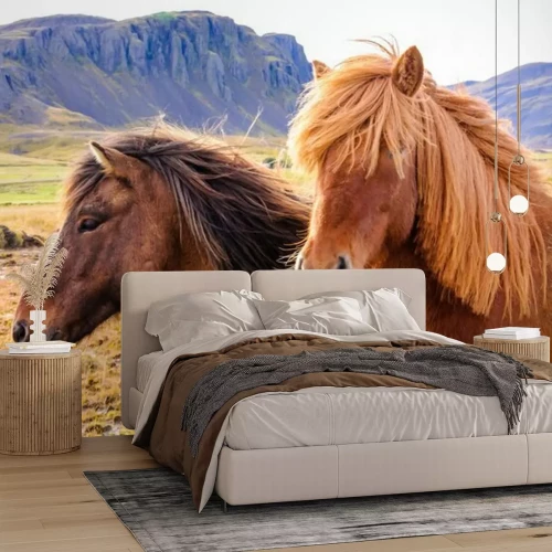 Fotobehang IJslandse dieren in de bergen