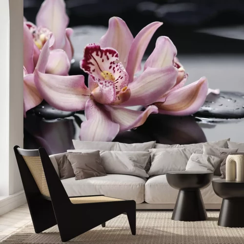 Fotobehang Roze orchidee op zenstenen in water