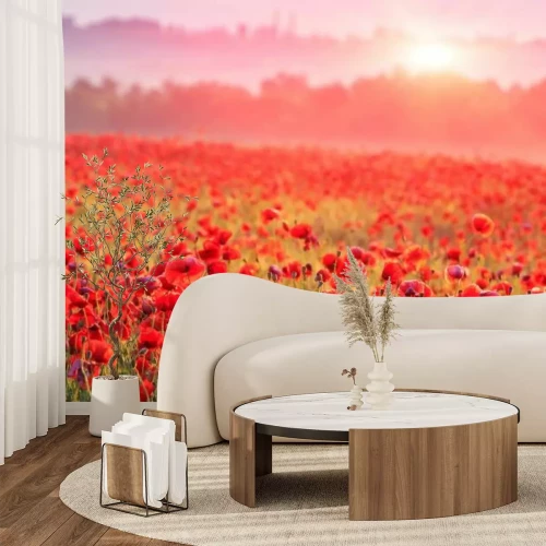 Fotobehang Rode klaprozenveld in de mist