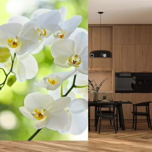 Fotobehang Orchidee tak