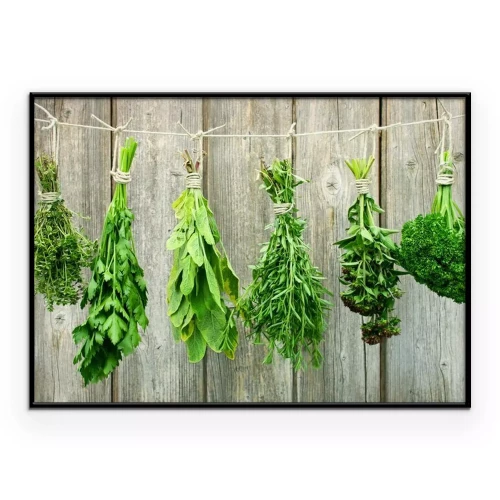 Poster Diverse kruiden hangen aan een touwtje te drogen.