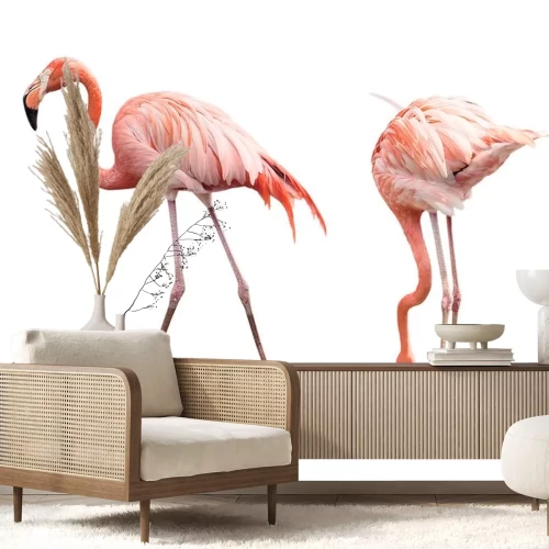 Sticker Twee roze vogels op een witte achtergrond