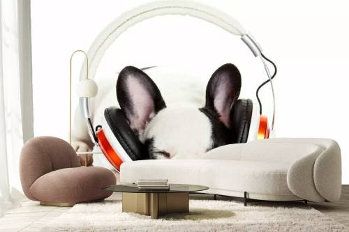 Visualisatie van het product