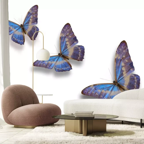 Sticker Drie zittende insecten